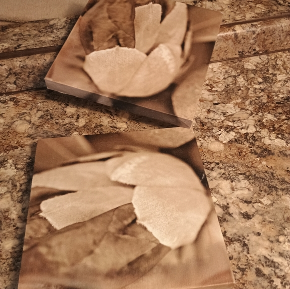 Floral Canvas Art Set in Brown and Cream - Picture 4 of 5